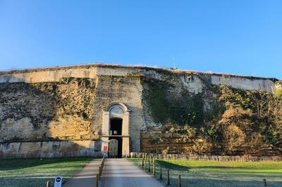 Dcouvrez des timbres et cartes postales pour les 600 ans du Chteau fort  Sedan