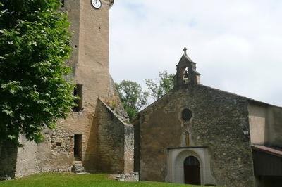 Dcouvrez la tour de la motte fodale de Tourtouse avec un guide !