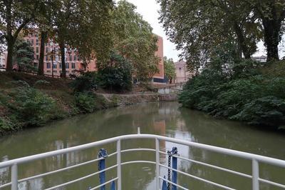Dcouvrez le canal de Brienne   Toulouse