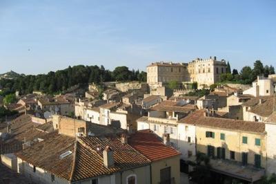 Dcouvrez le centre mdival, l'glise et le chteau de ce village en bordure du Rhne  Aramon