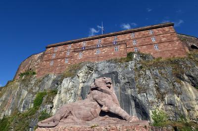 Dcouvrez le lion de Belfort