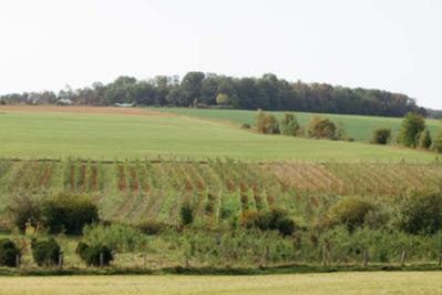 Dcouvrez le rle du vgtal dans le cycle de l'eau  Lanfroicourt