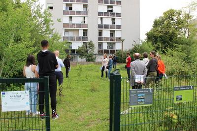 Dcouvrez Les Espaces Naturels D'un Quartier Rmois  Reims