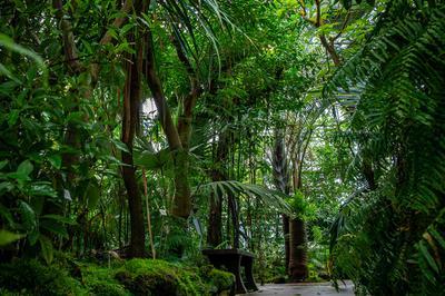 Dcouverte du Jardin botanique Jean Marie Pelt  Villers les Nancy