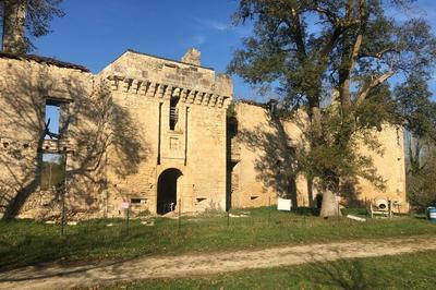 Dcouvrez les vestiges du chteau et les actions de sauvegarde mises en place  Saint Pantaly d'Ans