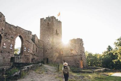 Dcouvrez un chteau mdival  Wangenbourg Engenthal