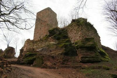 Découvrez un des plus anciens châteaux du massif des vosges à Saverne