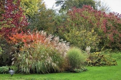 Dcouvrez un jardin regorgeant de varits botaniques  La Ville Sous Orbais