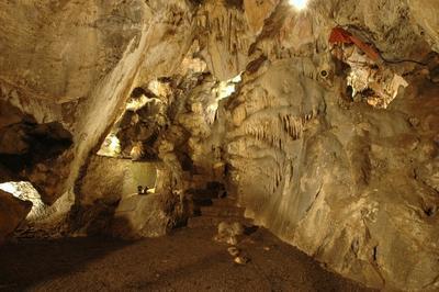 Dcouvrez une grotte originale lors d'une visite commente  Fromelennes