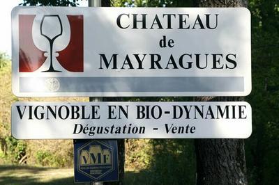 Dgustation des vins du domaine en biodynamie  Castelnau de Montmiral