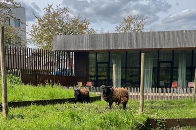 Dmonstration : la petite ferme du CAUE  Le Petit Quevilly