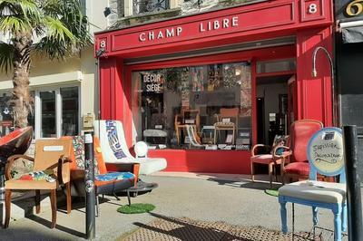 Dmonstration : rencontre et change avec un tapissier dcorateur  Cherbourg-en-Cotentin