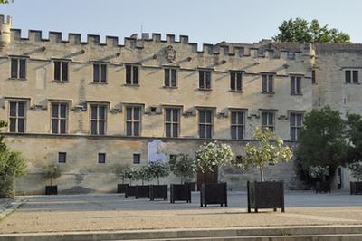 Des oeuvres  l'preuve du temps : restauration et durabilit  Avignon