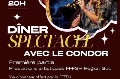 Dner-Spectacle : Condor, Histoire D'histoire  Salon de Provence