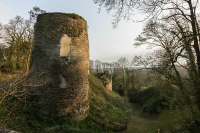  Dire et comprendre une forteresse mdivale   Saint-Thgonnec Loc-Eguiner