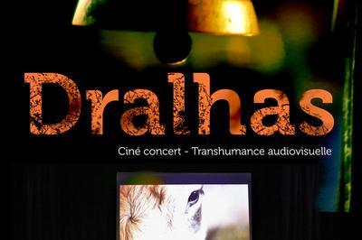 Dralhas-Transhumance audiovisuelle  Mane