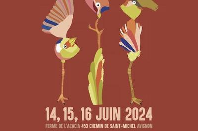 Drles d'oiseaux  Festival de chanson  plume 2025