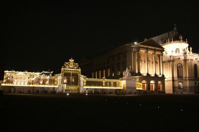 chos D'un Palais Au Fil Des Sicles  Versailles