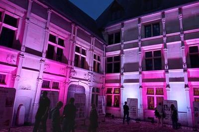 Éclairage Nocturne Du Jardin Et De La Façade De L'hôtel Le Vergeur à Reims