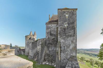 Enqute archologique au Chteau  Chateauneuf