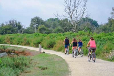 Entre nature et patrimoine : Circuit  vlo  Mantes la Jolie