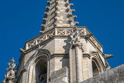 Explorez l'histoire de l'glise Saint-Paul lors d'une visite commente  Beaucaire