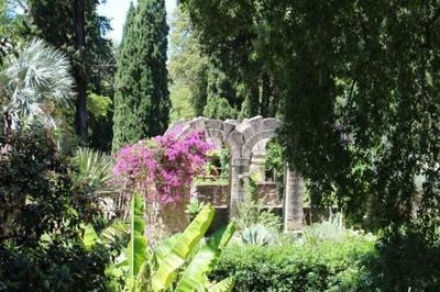 Explorez le jardin des plantes de Montpellier !