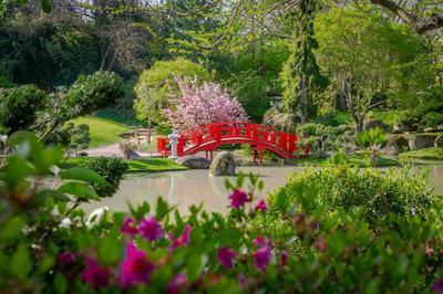 Explorez le jardin japonais avec un guide  Toulouse