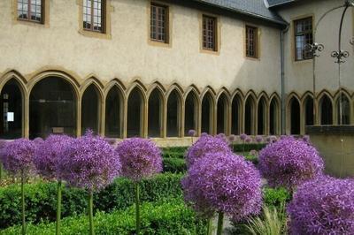 Explorez le monde des plantes mdicinales  Metz