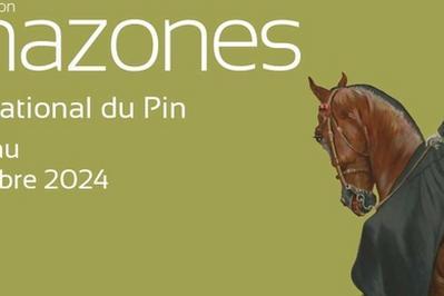 Exposition Amazones  Le Pin au Haras