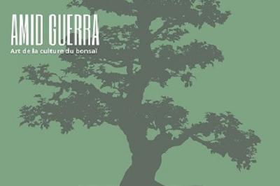Exposition bonsa - L'arbre aux 40 cus  Saint Vit
