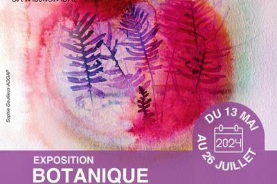 Exposition Botanique  Villeneuve d'Ascq