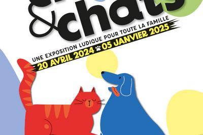 Exposition Chiens et Chats  Marseille