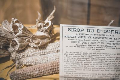 Exposition de fruits anciens avec les croqueurs de pommes à Saint Germain du Bois