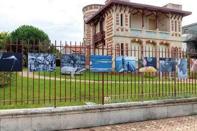 Exposition de photographies  Lacanau