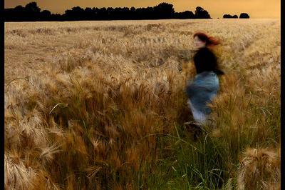 Exposition de photographies inspires de Madame Bovary  Honfleur