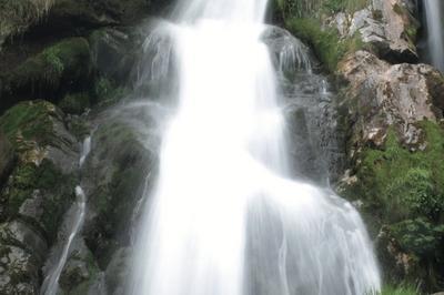 Exposition Eaux vives, torrents et cascades de montagne  Talence