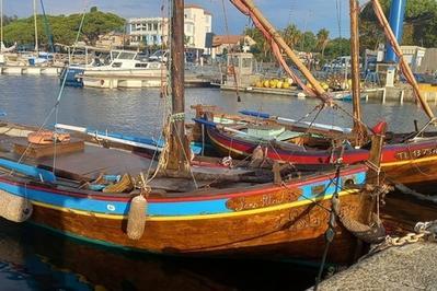 Exposition et animations Autour du Pointu  La Londe les Maures