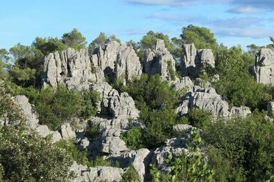 Exposition Histoire de la mer des Rochers  Sauve 