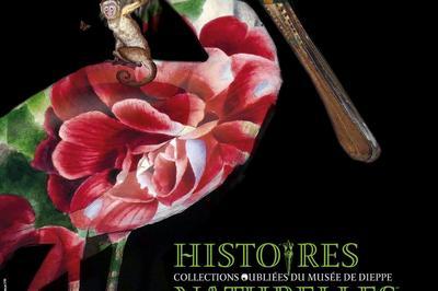Exposition Histoires Naturelles - Collections Oublies Du Muse De Dieppe