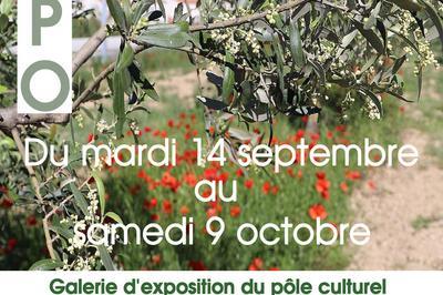 Exposition : L'olivier  Chateauneuf les Martigues