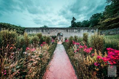 Exposition : la rose  Canon  Mzidon Valle d'Auge