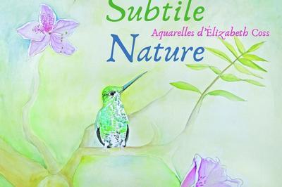 Exposition  Subtile Nature, Aquarelles D'elizabeth Coss   Troyes