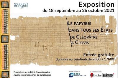 Exposition Le Papyrus Dans Tous Ses tats De Cloptre  Clovis  Paris 5me