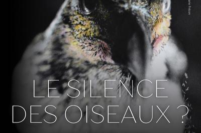 Exposition Le Silence Des Oiseaux ?  Toulouse
