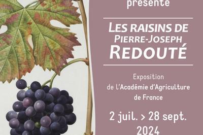 Exposition  Les raisins de Pierre-Joseph Redout   Montmlian