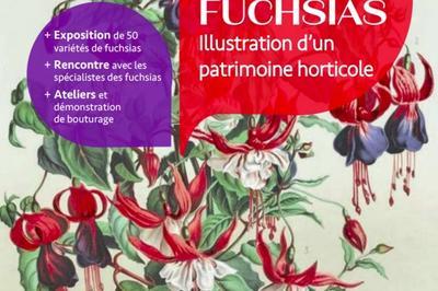 Exposition Livres Et Fuchsias : Illustration D'un Patrimoine Horticole  Paris 7me