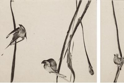 Nathalie Grall, Variation et rsonance (gravure, peinture)  Nancay