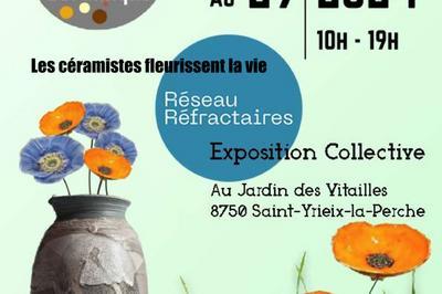 Exposition :installation cramique ;champ de fleurs   Saint Yrieix la Perche