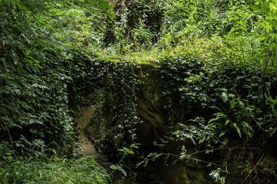 ExpositionLa Sauve Majeure au fil de l'eau